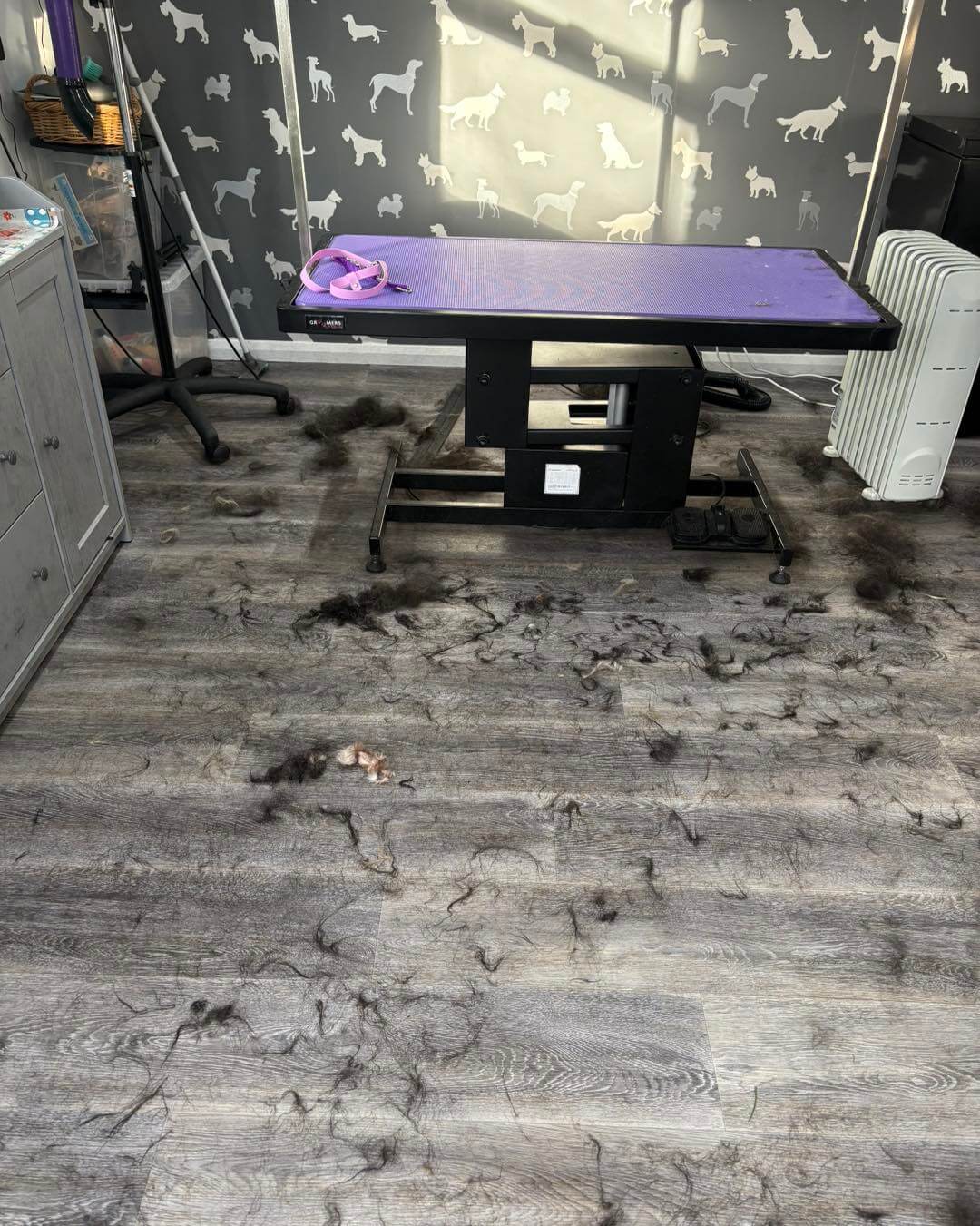 The salon after a labrador de-shed.